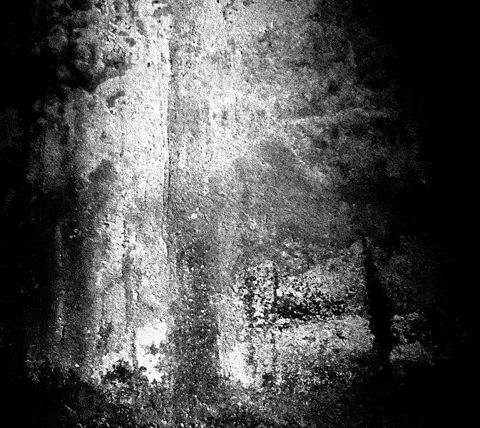 Na konci temného lesa