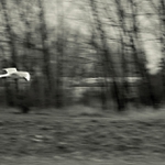 sídlisková melanchólia 2