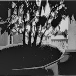 Pred oknom,za oknom ...