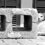 rozosené 3D brýle :)