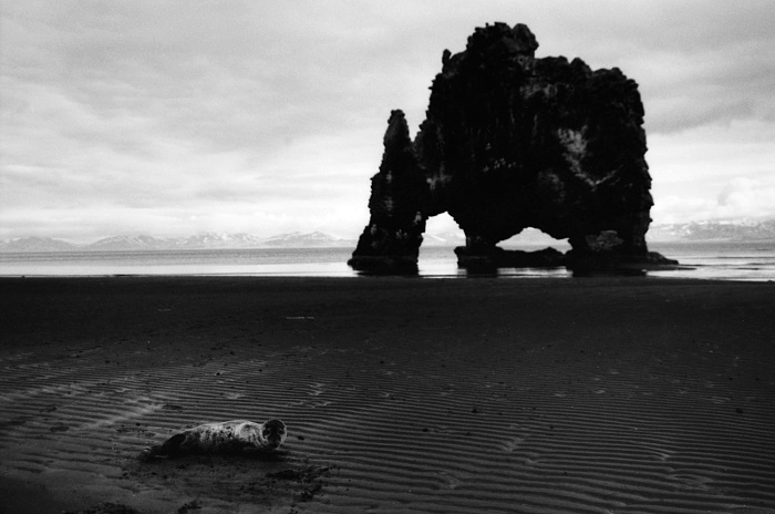 Island #8