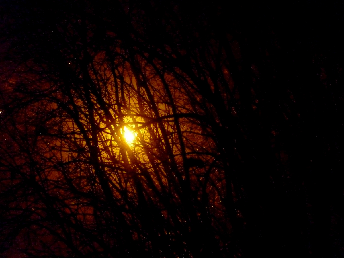 Light In The Darkness