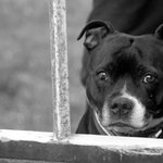 ..a vrátíš se brzy?