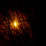 Light In The Darkness