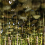 přírodní materiály