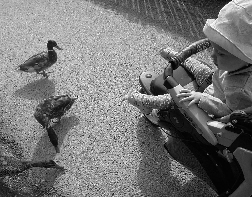 Prosluněné odpoledne