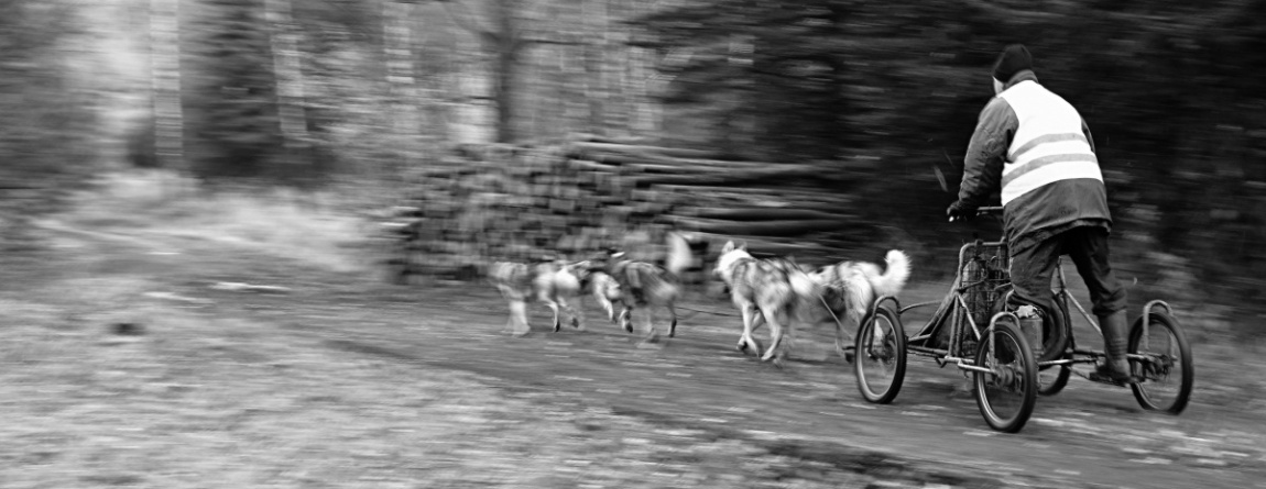 Mushing