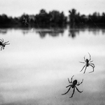 podvečer u rybníka ...