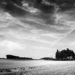 léto, jak má být ...