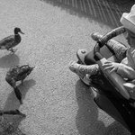 Prosluněné odpoledne