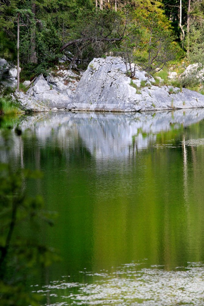 Zrcadlení