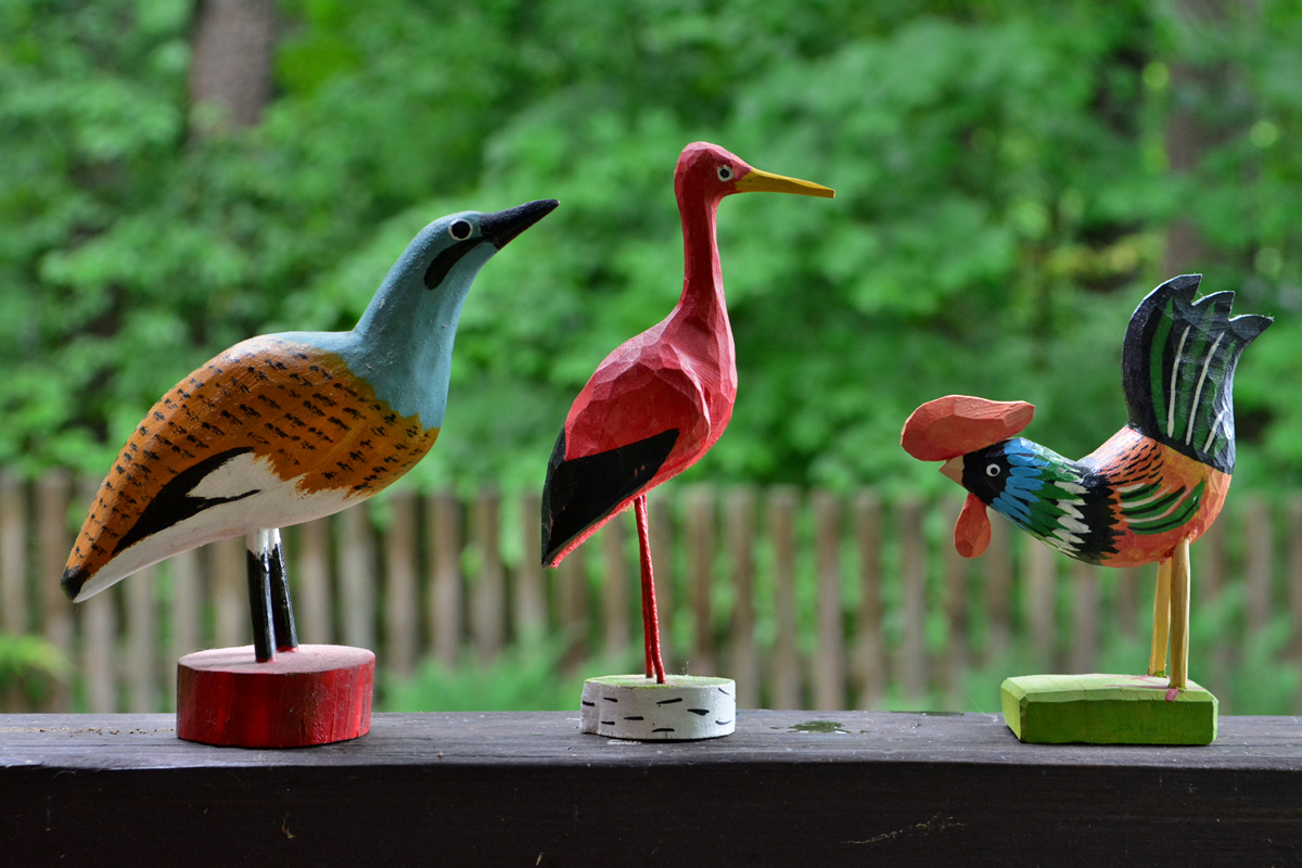 Birds
