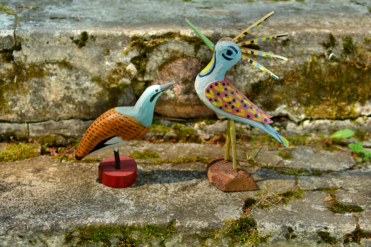 Birds