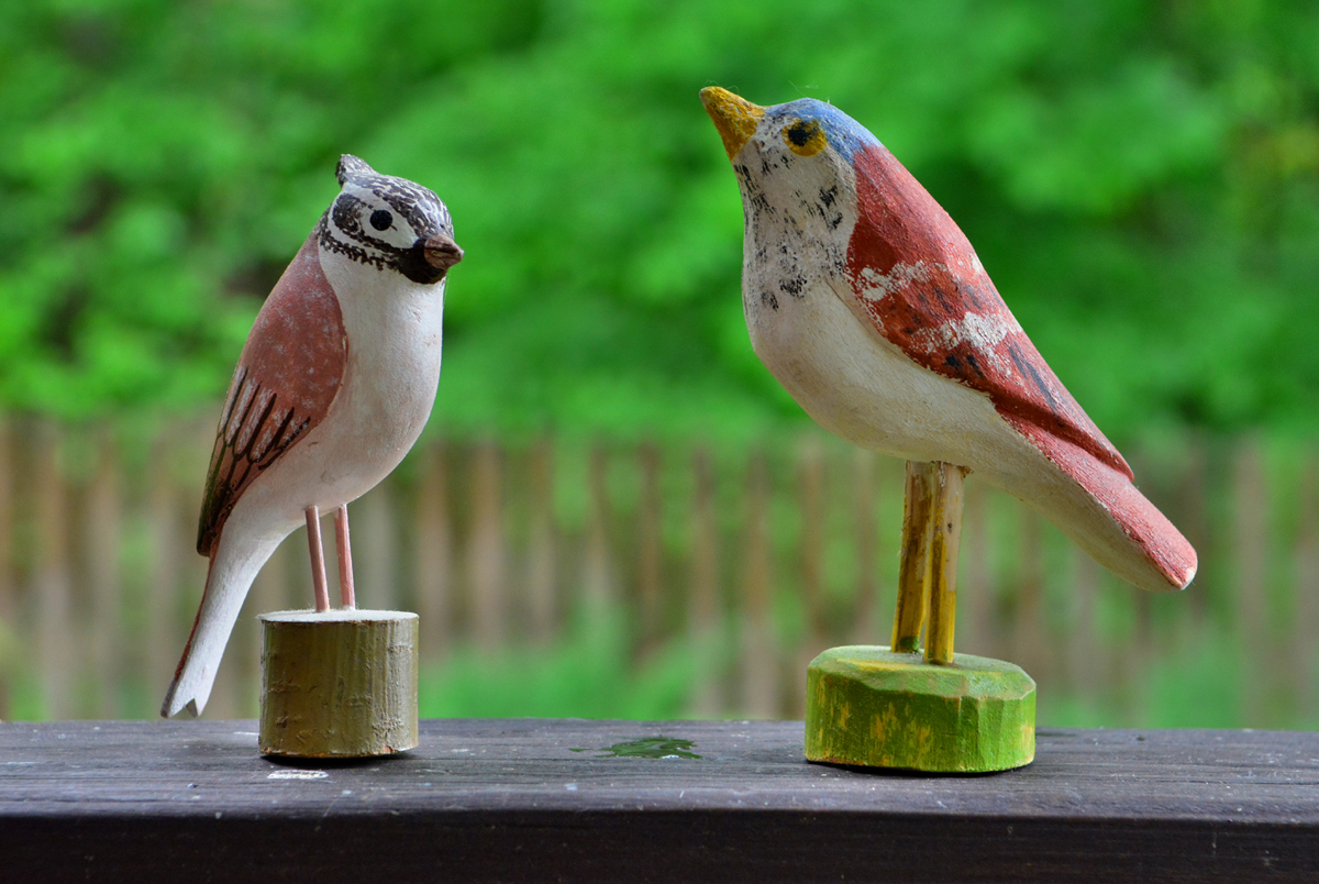 Birds
