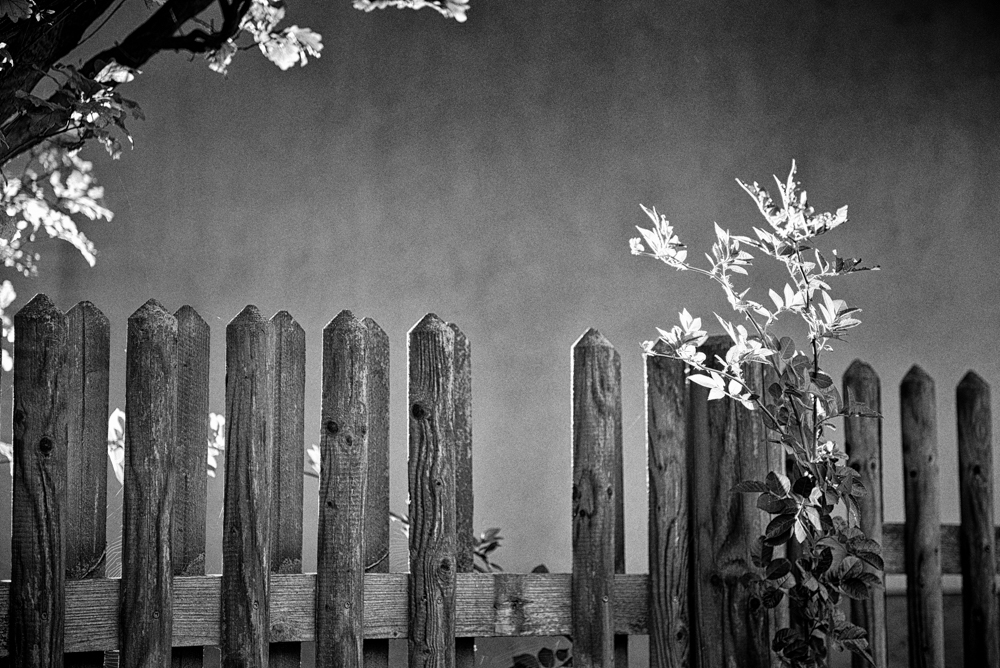 MoML 26. září 2016