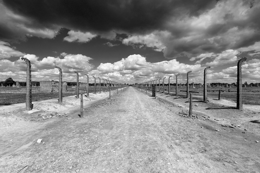 Medzi - Auschwitz, Birkenau II