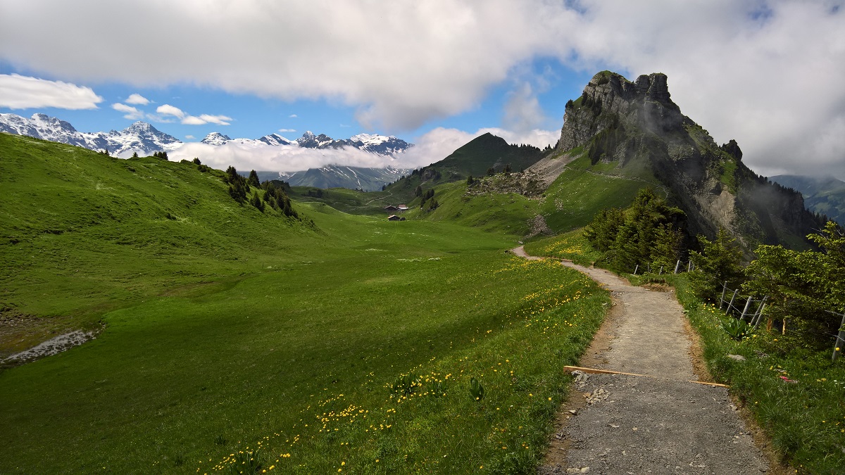 Alpengarten II