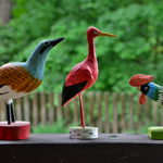 Birds