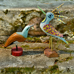 Birds