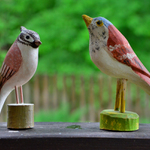 Birds