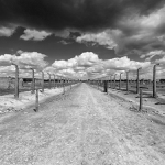 Medzi - Auschwitz, Birkenau II