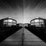 Sel jsem fotit k rybnikum