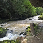 Areuseschlucht II