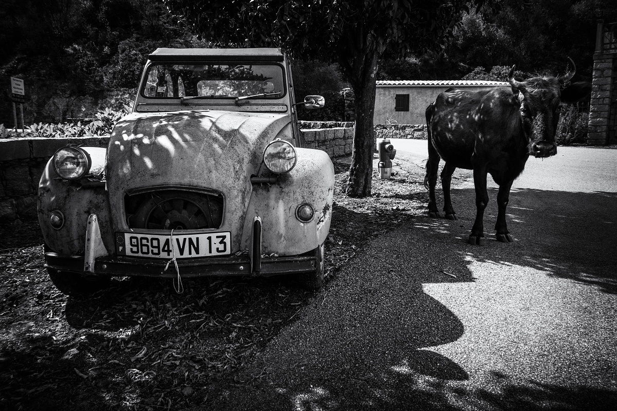 Corse...