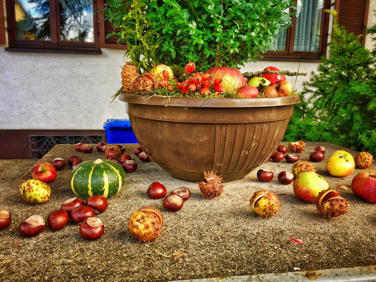 Podzim