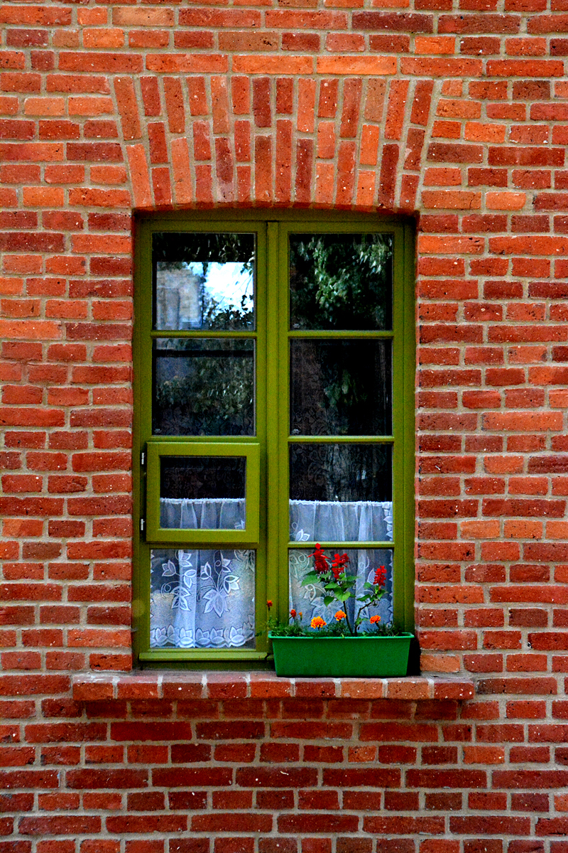 Window