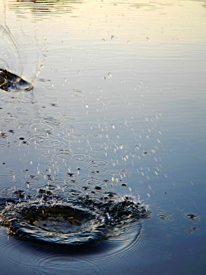 Water