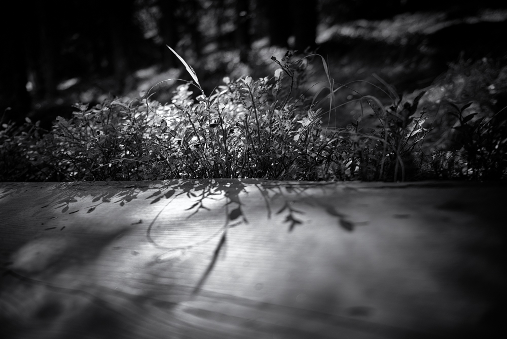 Z Krakonošovy zahrádky - MoML 5. října 2016