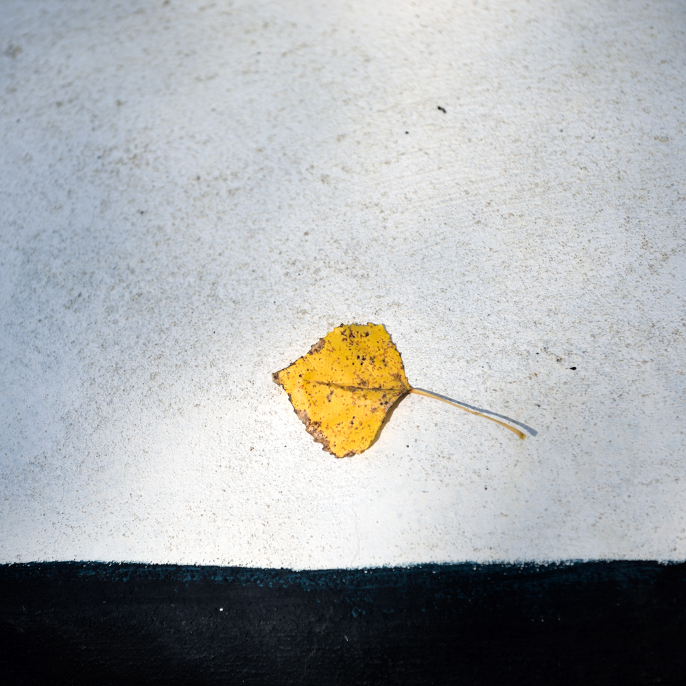 Znaveni Sluncem - MoML 7. října 2016