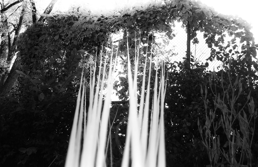 light rain