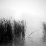 Čekání na Charóna