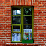 Window