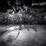 Z Krakonošovy zahrádky - MoML 5. října 2016