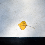 Znaveni Sluncem - MoML 7. října 2016