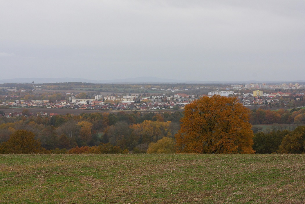 Panorama