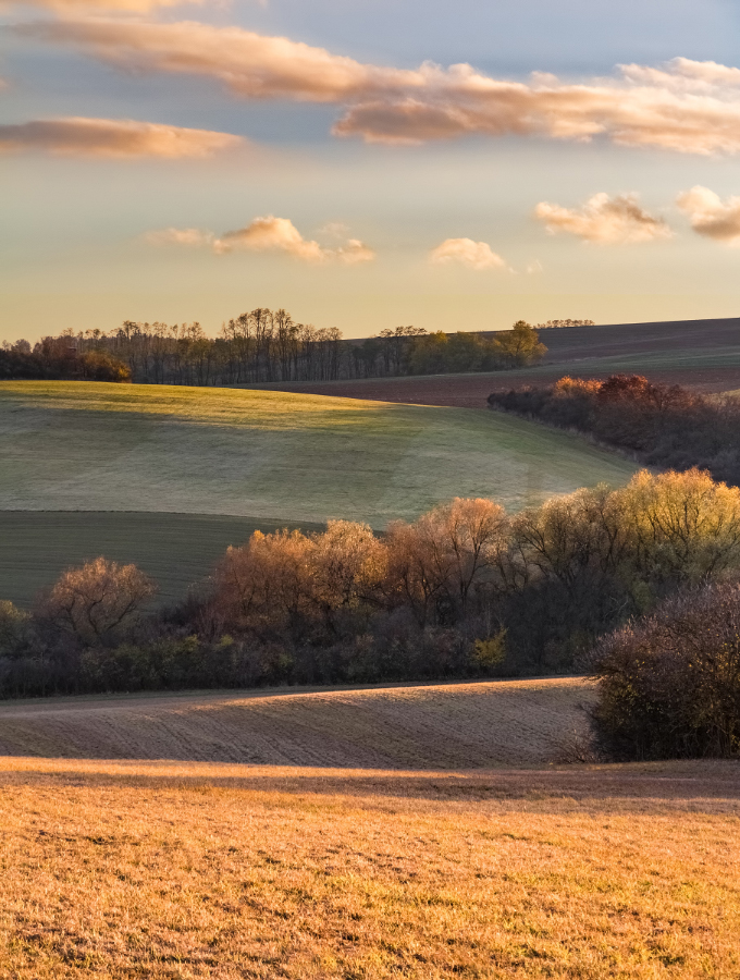 Podzimní krajina I.