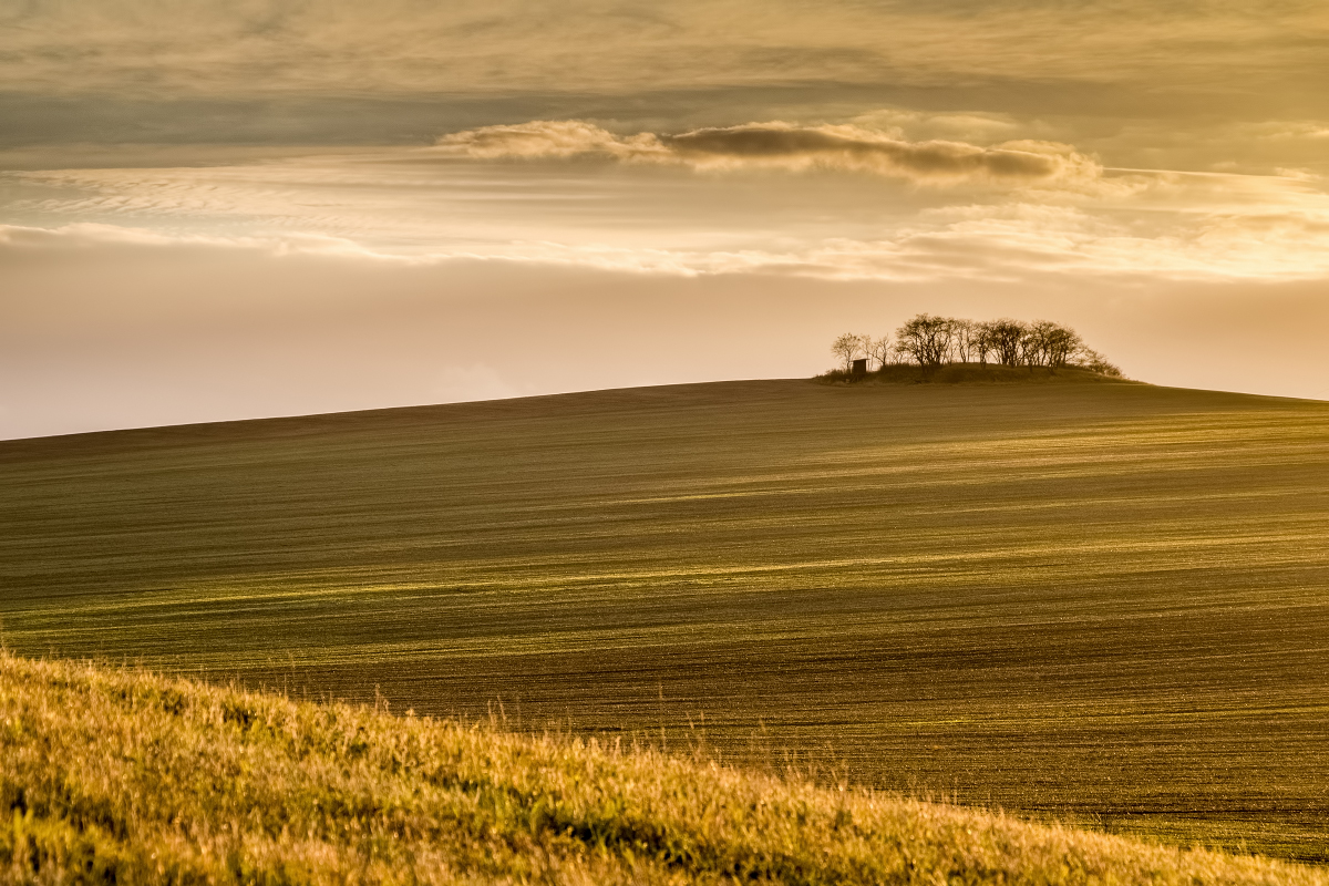 Podzimní krajina II.