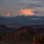 Křiváň si nasazuje ěepici