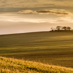 Podzimní krajina II.