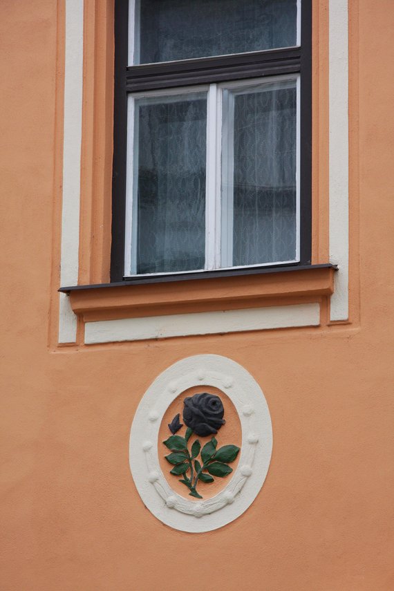 Růže