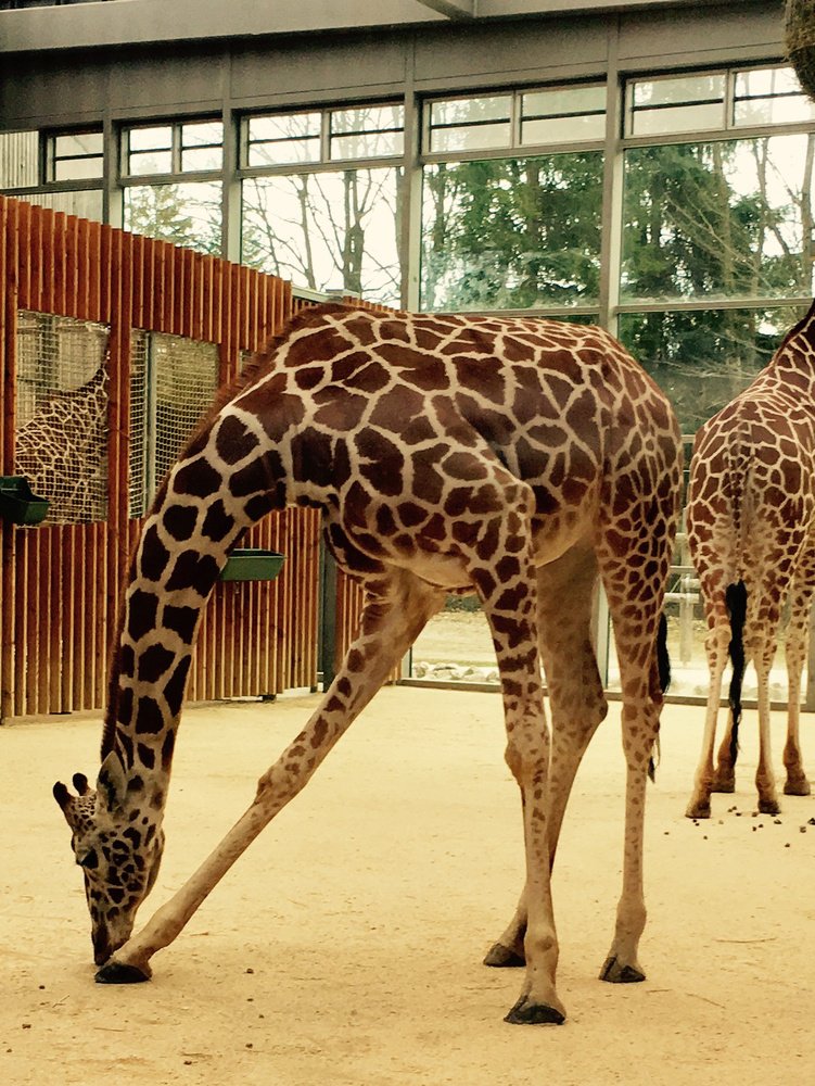 Zoo