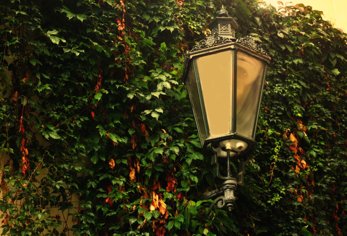 Lampa