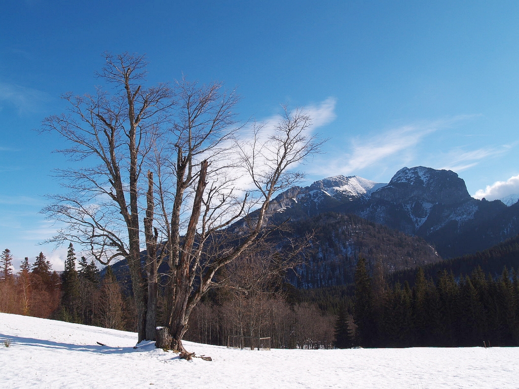 Belanské Tatry