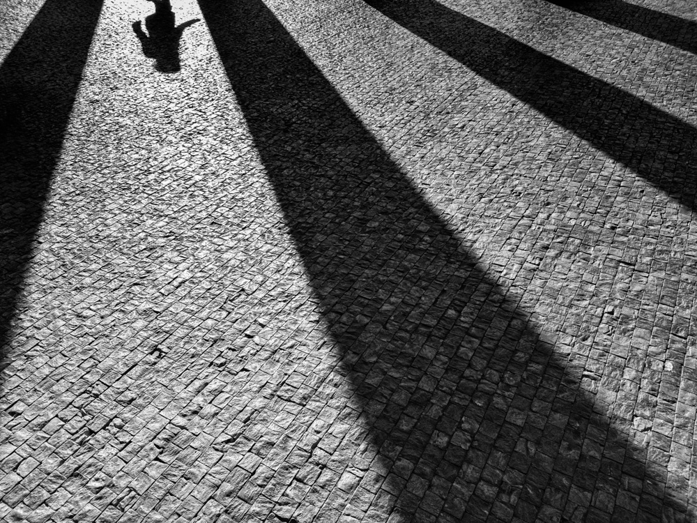 MoML 1. prosince 2016