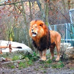 Zoo
