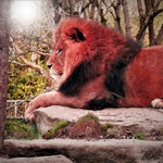 Zoo